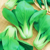 Pak Choi Green Stem