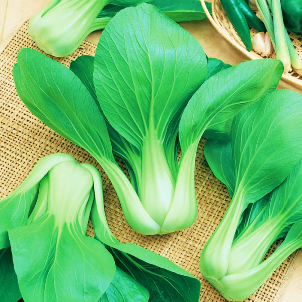 Pak Choi Green Stem