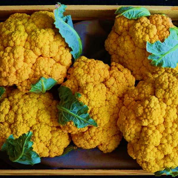 Cauliflower Highway Star