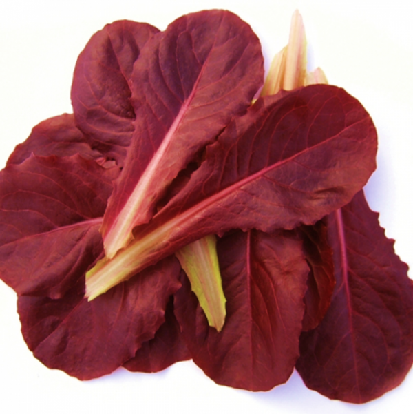 Lettuce Baby Cos Red Raw