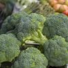 broccoli summer