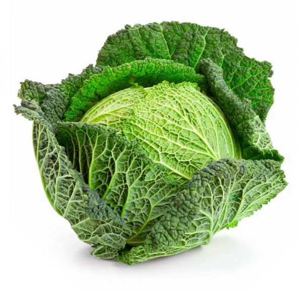 cabbage savoy