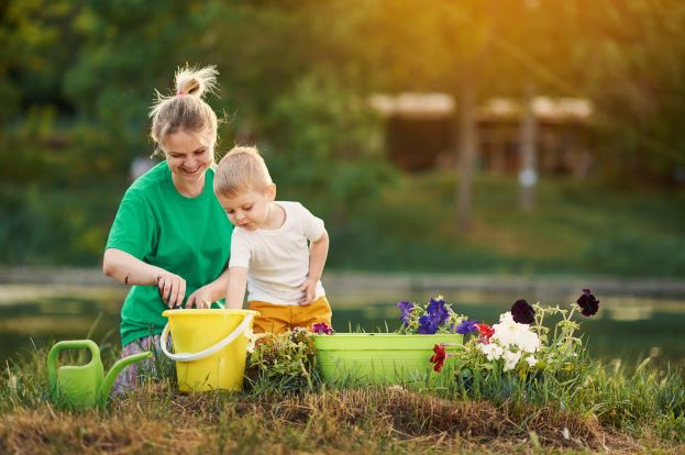 Top benefits of plant allotment you need to know