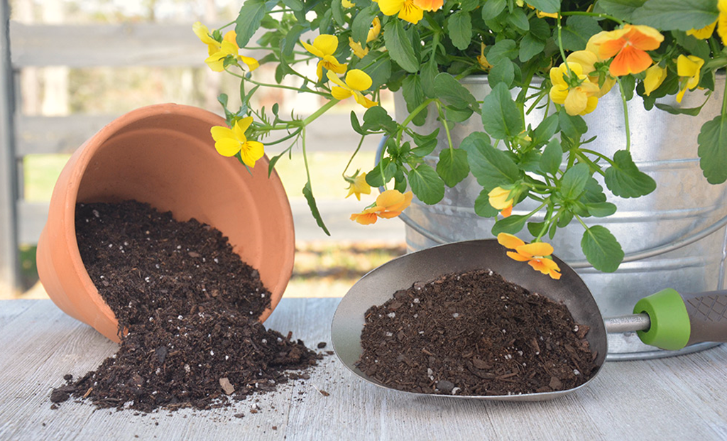 Clay Soil for Plants