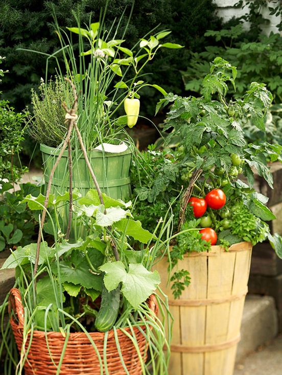 Container Gardening for vegetables