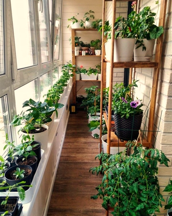 Effects of Climate on Container Gardening.png
