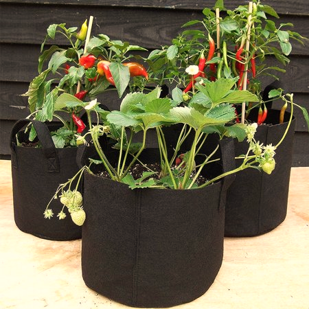 Fabric Pots for Container Gardening