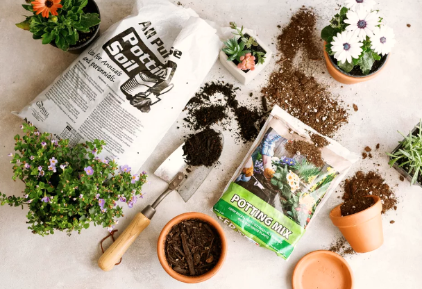 Indoor Potting Mixtures for Container Gardening