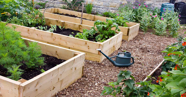 Raised Beds for Container Gardening