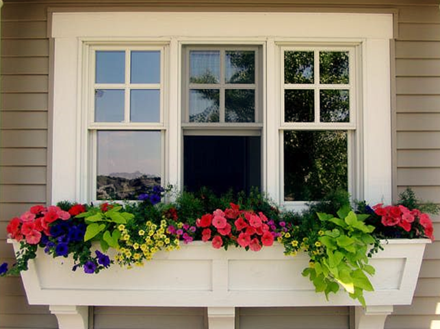 Tips to Grow Plants in Window Boxes