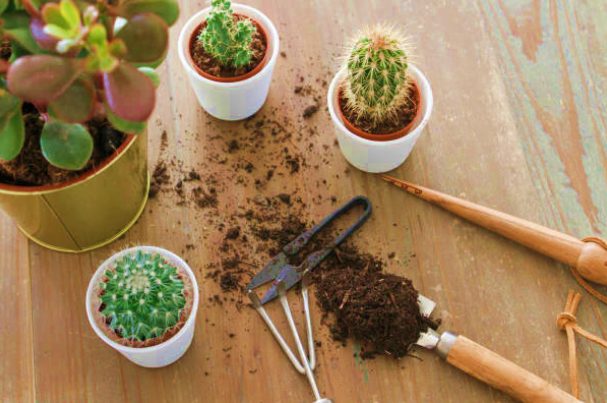 Tools for Pruning the Plants