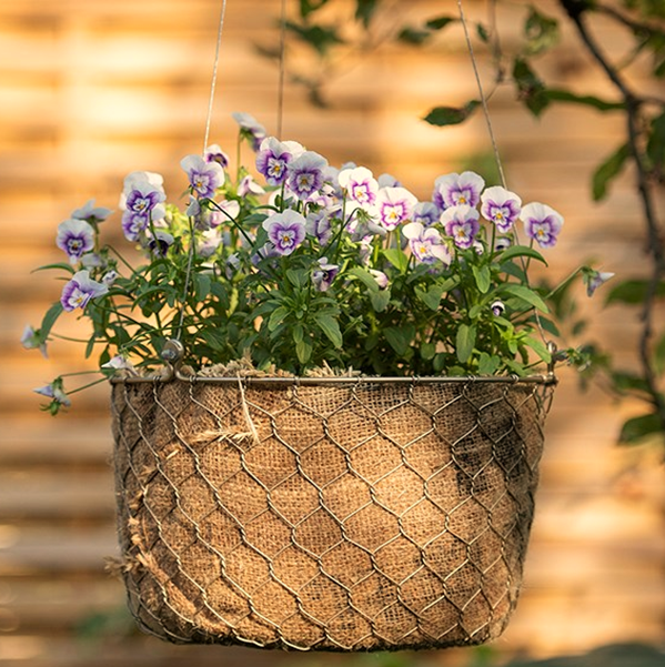 Traditional Wire Baskets for Container Gardening