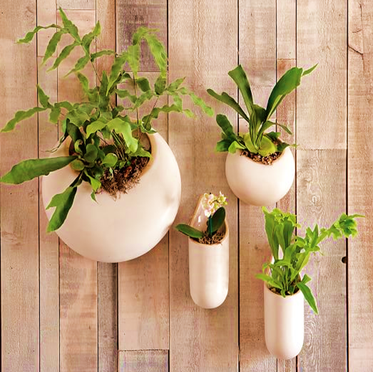 Wall-Mounted Pots for Gardening