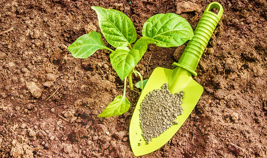 Benefits of Potassium for Plants