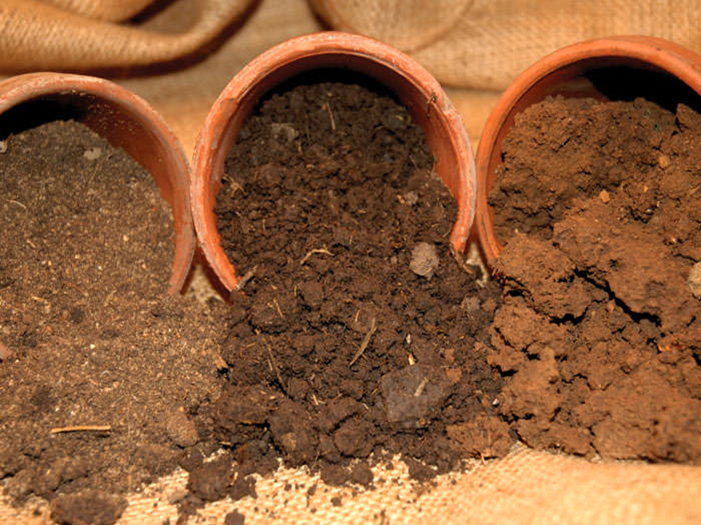 Types of Soil for Gardening