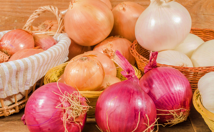 Onion Varieties for Allotment Gardens