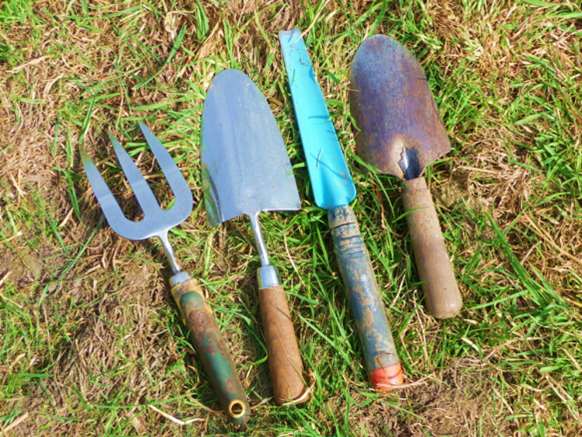 Tools and Equipment for Allotment Gardening