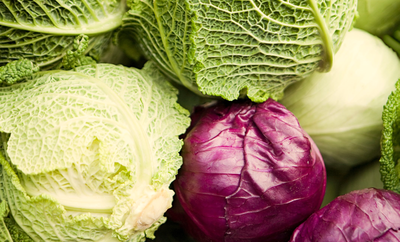 Varieties of Cabbages for Allotment