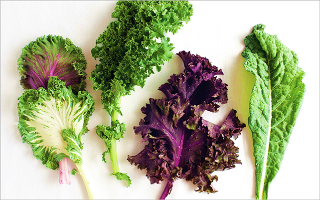Varieties of Kale for Allotment Gardens