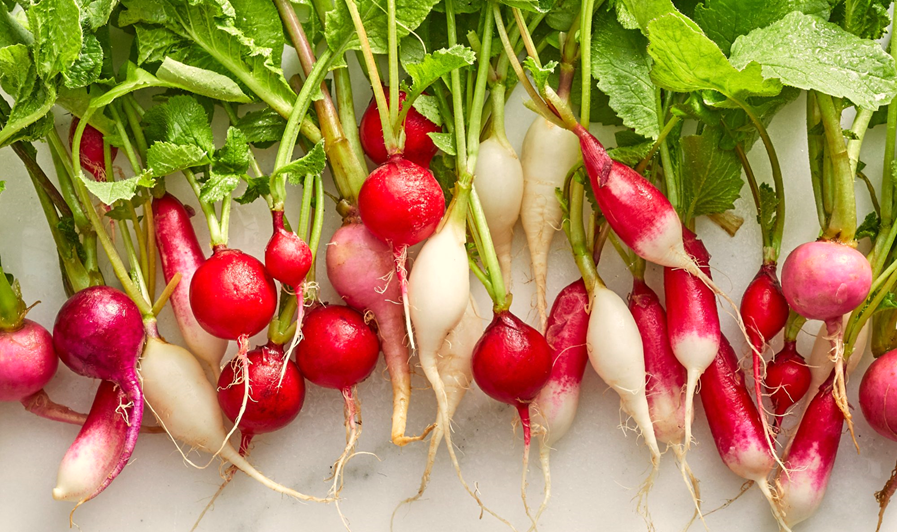 Varieties of Radish for Allotment Garden