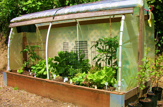 Hoop House Raised Beds