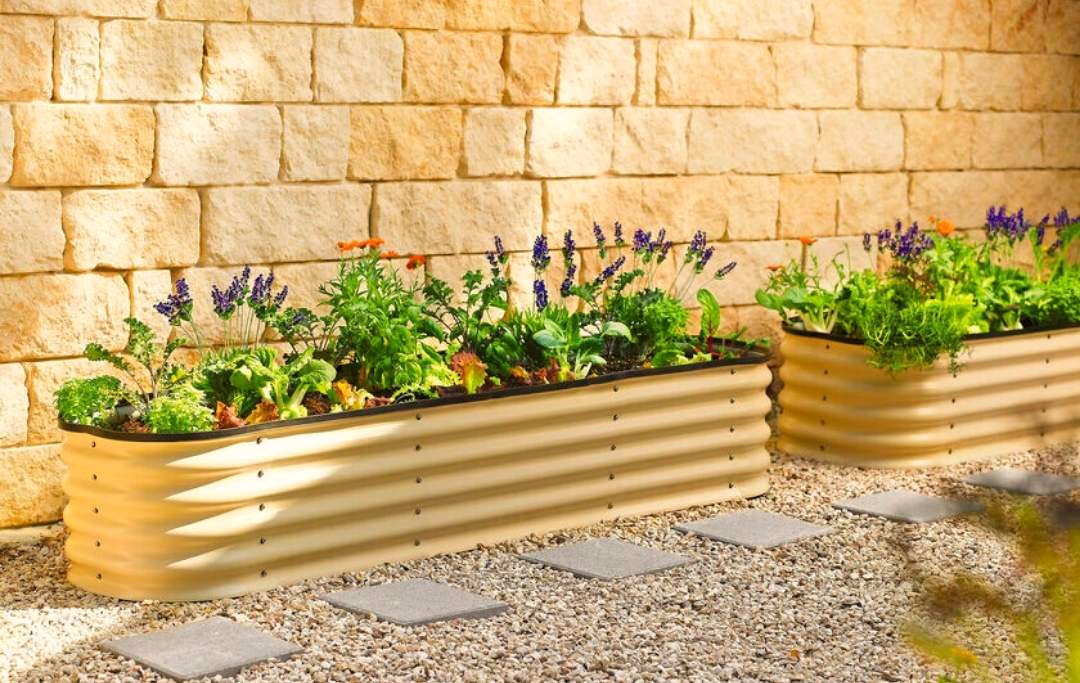 Metal Raised Garden Beds for Gardening