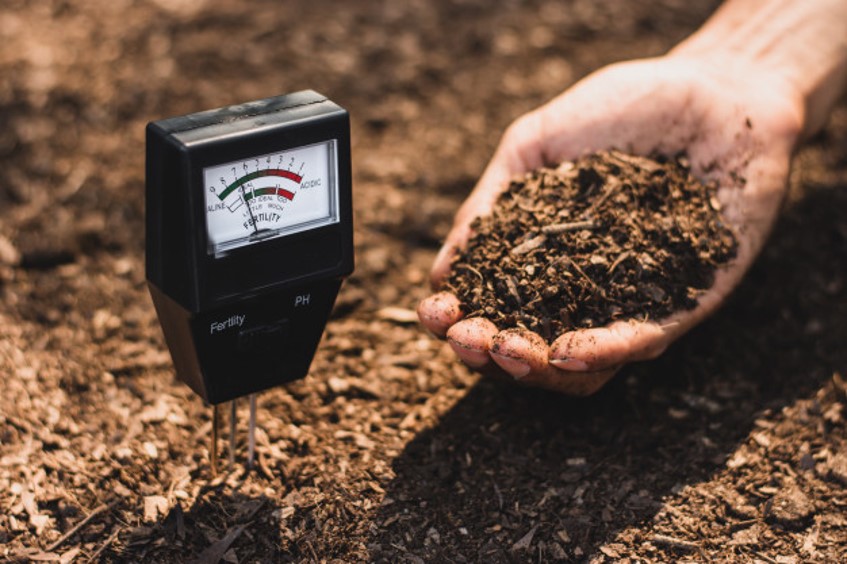 All you need to know about the pH of the soil