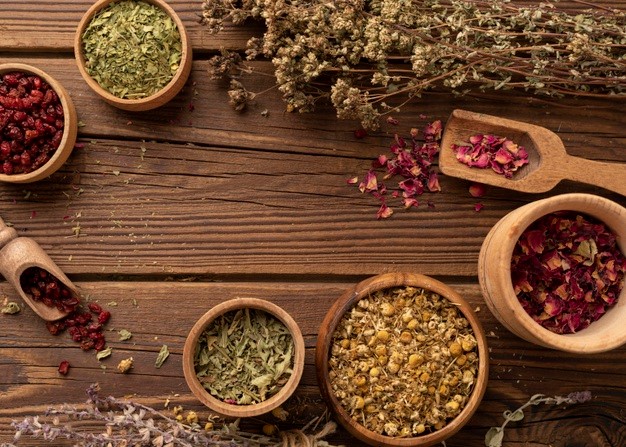 All You Need To Know About Healing Herbs