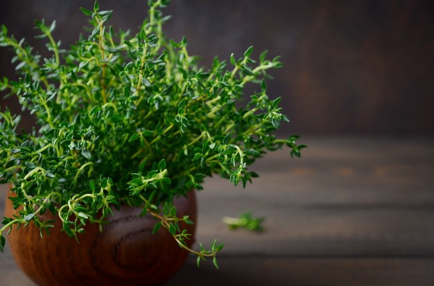 All You Need To Know About Thyme Herb