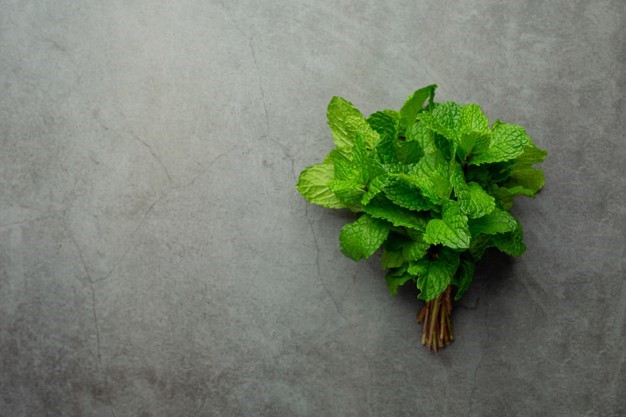 Top 11 Health Benefits Of Peppermint Herb