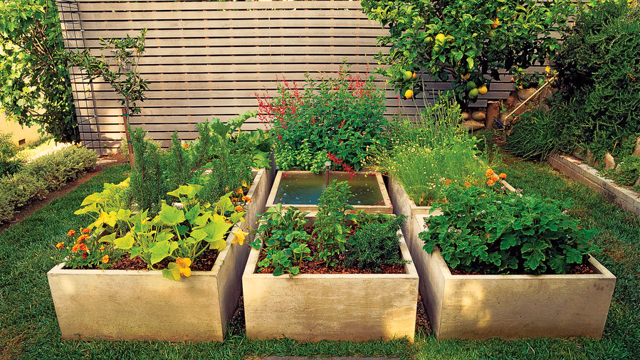 Types of Raised Garden Beds for Gardening