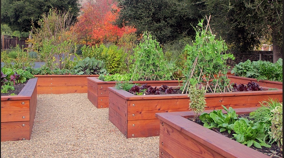 Wooden Raised Garden Beds for Gardening