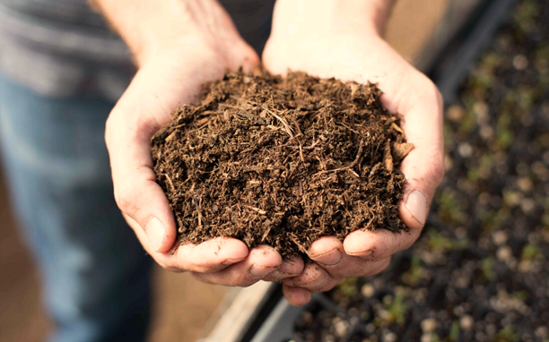 Best Types of Soil for Raised Bed Gardening