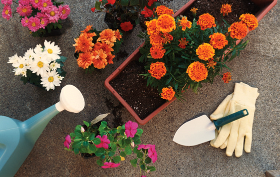 Biodegradable Gardening Gloves