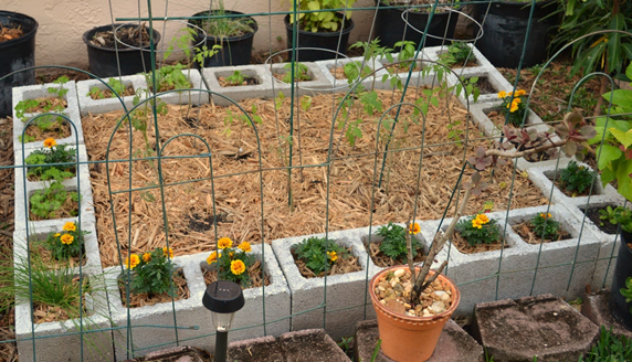 Cinder Block Garden Beds