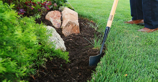 Eco-Friendly Garden Edging