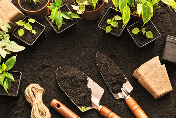 Eco-Friendly Products for Gardening