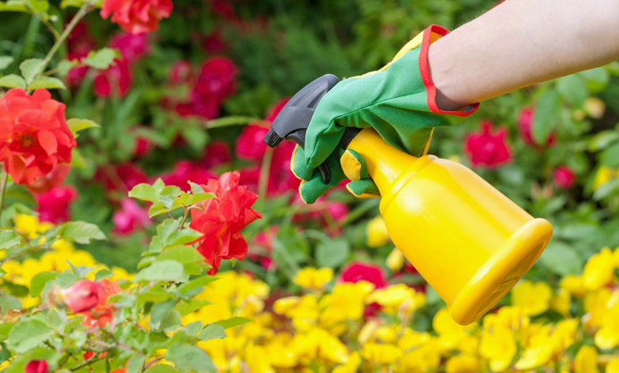 Insecticides for Raised Garden Beds