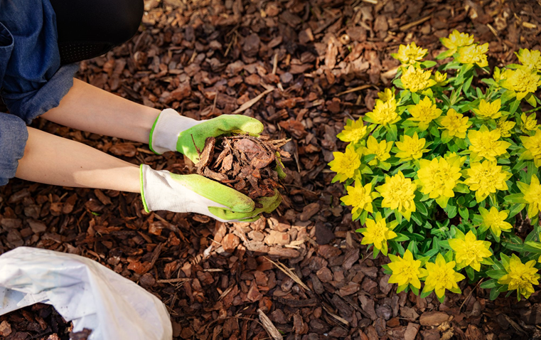 Mulching the Garden