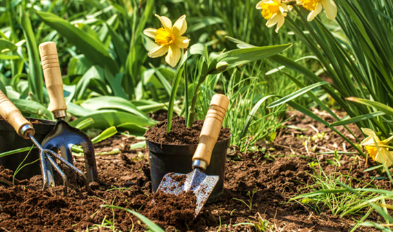 Removing Debris from Garden Beds