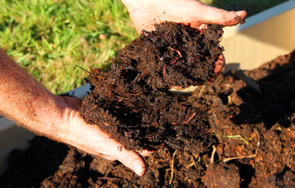 Tips to Improve Your Raised Bed Garden Soil