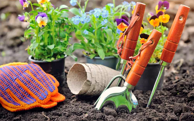 Tools for Cleaning Raised Garden Beds