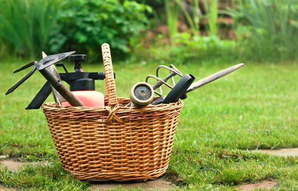 Tools for Removing Weeds from Garden Beds