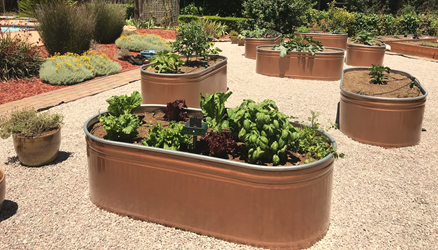 Trough Garden Beds