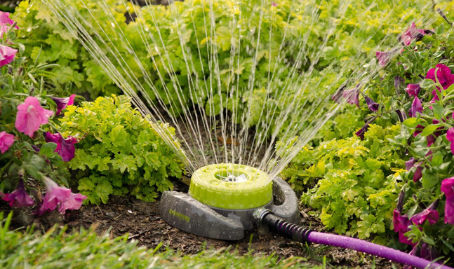 Types of Automatic Watering Systems for Raised Beds
