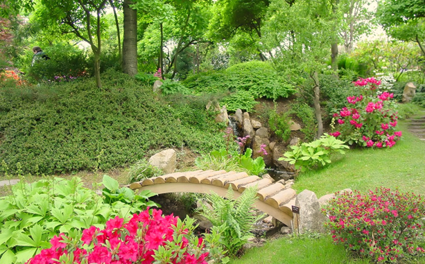 Ways to Create an Eco-Friendly Garden