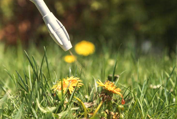 Weedkillers for Raised Garden Beds