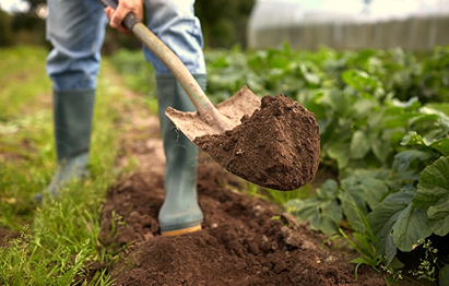 Advantages of Digging the Soil
