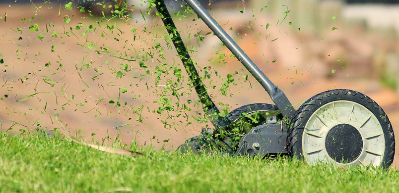 Benefits of Mowing the Lawn