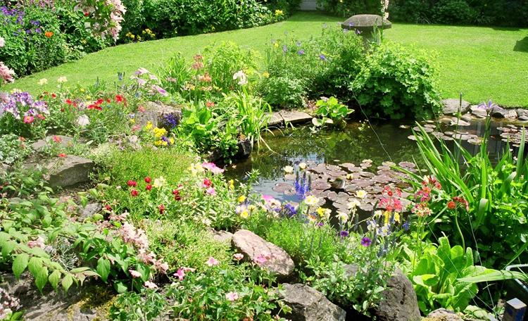 Benefits of a Wildlife Garden